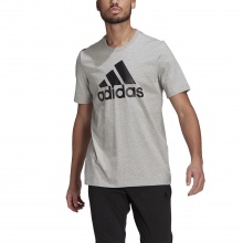 adidas T-shirt rekreacyjne Essentials Big Logo (100% bawełna) szary męski